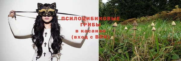 герыч Майский