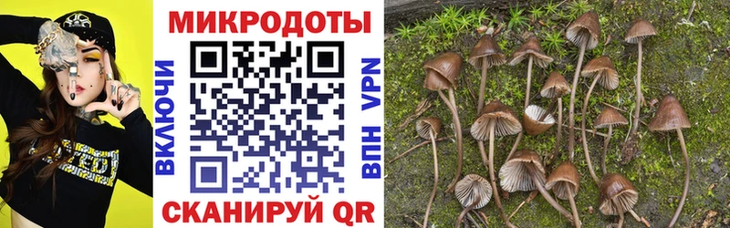 Купить где  Тамбов  Галлюциногенные грибы мицелий 